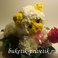 Котенок из цветов
