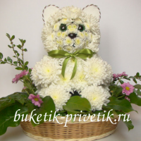 Медведь из живых цветов