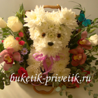 Собачка из живых цветов