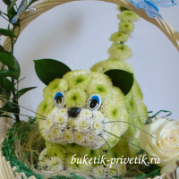 Котик из цветов в корзинке