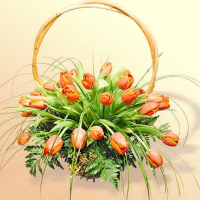 Корзинка с 25 тюльпанами